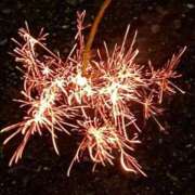 ヒメ日記 2025/08/28 10:10 投稿 みこと 奥様の実話 梅田店