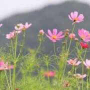 ヒメ日記 2025/08/30 09:08 投稿 みこと 奥様の実話 梅田店