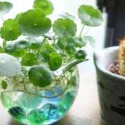 ヒメ日記 2025/08/31 09:10 投稿 みこと 奥様の実話 梅田店