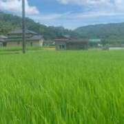 ヒメ日記 2025/09/01 10:39 投稿 みこと 奥様の実話 梅田店