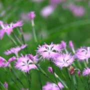 ヒメ日記 2025/09/04 13:57 投稿 みこと 奥様の実話 梅田店