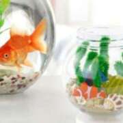 ヒメ日記 2025/09/07 09:30 投稿 みこと 奥様の実話 梅田店