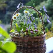 ヒメ日記 2025/09/09 09:00 投稿 みこと 奥様の実話 梅田店