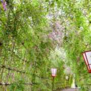 ヒメ日記 2025/09/10 09:00 投稿 みこと 奥様の実話 梅田店