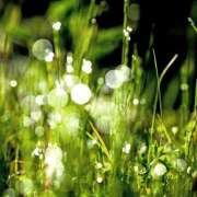 ヒメ日記 2025/09/11 08:52 投稿 みこと 奥様の実話 梅田店