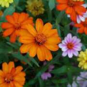 ヒメ日記 2025/09/12 10:17 投稿 みこと 奥様の実話 梅田店