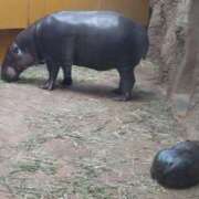 ヒメ日記 2025/09/15 09:22 投稿 みこと 奥様の実話 梅田店