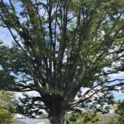 ヒメ日記 2025/09/16 09:04 投稿 みこと 奥様の実話 梅田店