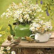 ヒメ日記 2025/09/17 08:59 投稿 みこと 奥様の実話 梅田店