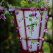 ヒメ日記 2025/09/19 08:30 投稿 みこと 奥様の実話 梅田店