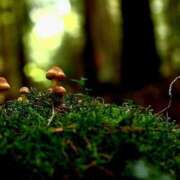 ヒメ日記 2025/09/21 08:51 投稿 みこと 奥様の実話 梅田店