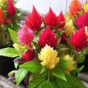 ヒメ日記 2025/09/22 09:15 投稿 みこと 奥様の実話 梅田店