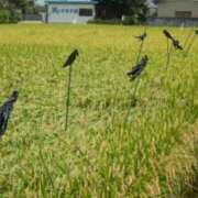 ヒメ日記 2025/09/24 08:54 投稿 みこと 奥様の実話 梅田店