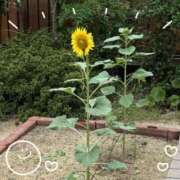 ヒメ日記 2025/09/26 08:58 投稿 みこと 奥様の実話 梅田店