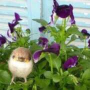 ヒメ日記 2025/09/27 09:47 投稿 みこと 奥様の実話 梅田店