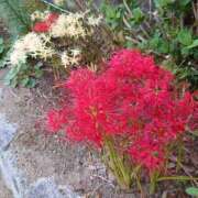 ヒメ日記 2025/09/28 09:49 投稿 みこと 奥様の実話 梅田店