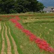 ヒメ日記 2025/09/29 08:50 投稿 みこと 奥様の実話 梅田店