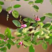 ヒメ日記 2025/09/30 08:57 投稿 みこと 奥様の実話 梅田店