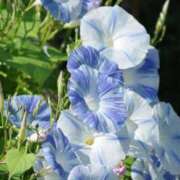 ヒメ日記 2025/10/01 10:26 投稿 みこと 奥様の実話 梅田店