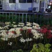 ヒメ日記 2025/10/03 08:41 投稿 みこと 奥様の実話 梅田店