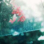 ヒメ日記 2025/10/04 08:47 投稿 みこと 奥様の実話 梅田店