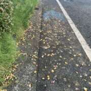 ヒメ日記 2025/10/10 08:57 投稿 みこと 奥様の実話 梅田店