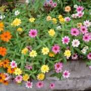 ヒメ日記 2025/10/12 10:03 投稿 みこと 奥様の実話 梅田店