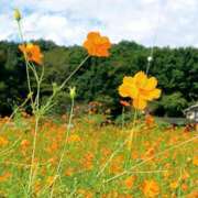 ヒメ日記 2025/10/13 08:38 投稿 みこと 奥様の実話 梅田店