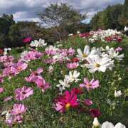 ヒメ日記 2025/10/14 08:43 投稿 みこと 奥様の実話 梅田店