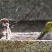 ヒメ日記 2025/10/20 09:32 投稿 みこと 奥様の実話 梅田店