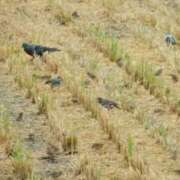 ヒメ日記 2025/10/21 09:02 投稿 みこと 奥様の実話 梅田店