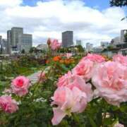 ヒメ日記 2025/10/22 08:55 投稿 みこと 奥様の実話 梅田店