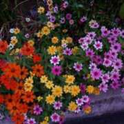 ヒメ日記 2025/10/24 09:02 投稿 みこと 奥様の実話 梅田店