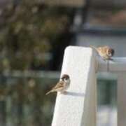 ヒメ日記 2025/10/25 10:10 投稿 みこと 奥様の実話 梅田店