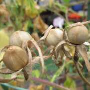 ヒメ日記 2025/10/26 09:03 投稿 みこと 奥様の実話 梅田店