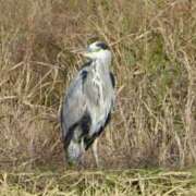 ヒメ日記 2025/10/27 09:21 投稿 みこと 奥様の実話 梅田店