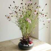 ヒメ日記 2025/10/28 08:56 投稿 みこと 奥様の実話 梅田店