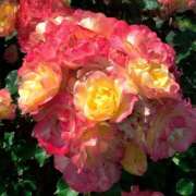 ヒメ日記 2025/11/01 22:29 投稿 みこと 奥様の実話 梅田店