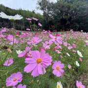 ヒメ日記 2025/11/02 22:13 投稿 みこと 奥様の実話 梅田店