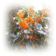 ヒメ日記 2025/11/04 13:44 投稿 みこと 奥様の実話 梅田店