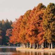 ヒメ日記 2025/11/11 09:02 投稿 みこと 奥様の実話 梅田店