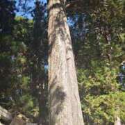 ヒメ日記 2025/11/17 11:24 投稿 みこと 奥様の実話 梅田店