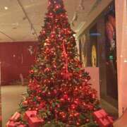 ヒメ日記 2025/11/18 08:57 投稿 みこと 奥様の実話 梅田店