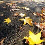 ヒメ日記 2025/11/19 09:13 投稿 みこと 奥様の実話 梅田店