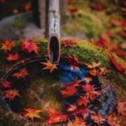 ヒメ日記 2025/11/24 10:01 投稿 みこと 奥様の実話 梅田店