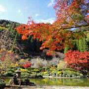 ヒメ日記 2025/11/25 08:58 投稿 みこと 奥様の実話 梅田店