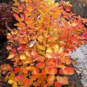 ヒメ日記 2025/11/28 09:06 投稿 みこと 奥様の実話 梅田店