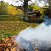 ヒメ日記 2025/11/29 10:24 投稿 みこと 奥様の実話 梅田店