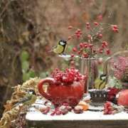 ヒメ日記 2025/11/30 08:39 投稿 みこと 奥様の実話 梅田店