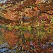 ヒメ日記 2025/12/01 09:03 投稿 みこと 奥様の実話 梅田店